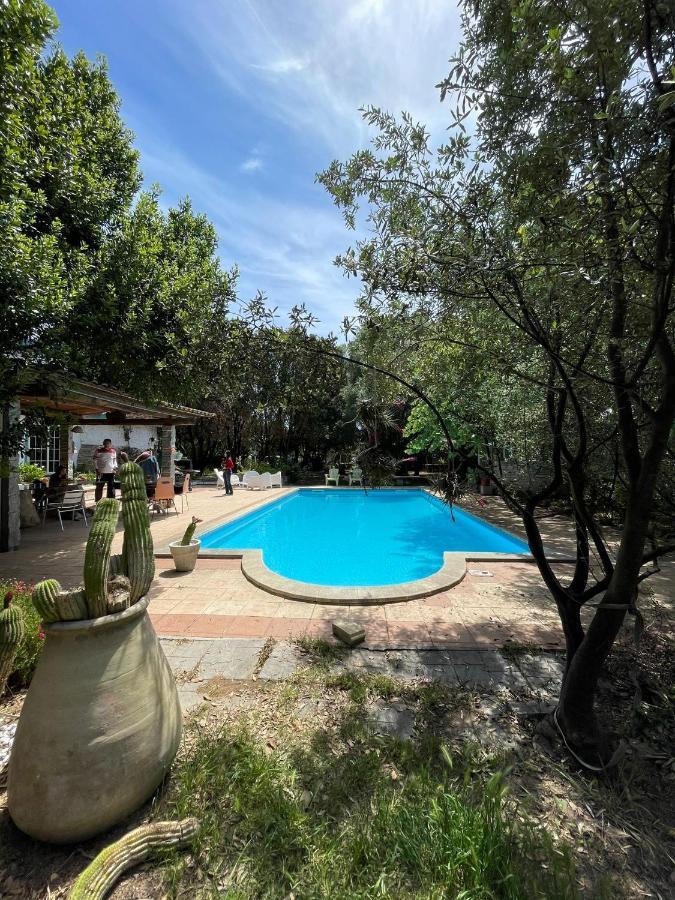 Loft Mansardato Con Giardino E Piscina In Villa Privata Loft With Garden And Swimming Pool In A Private Villa Sestu Ngoại thất bức ảnh